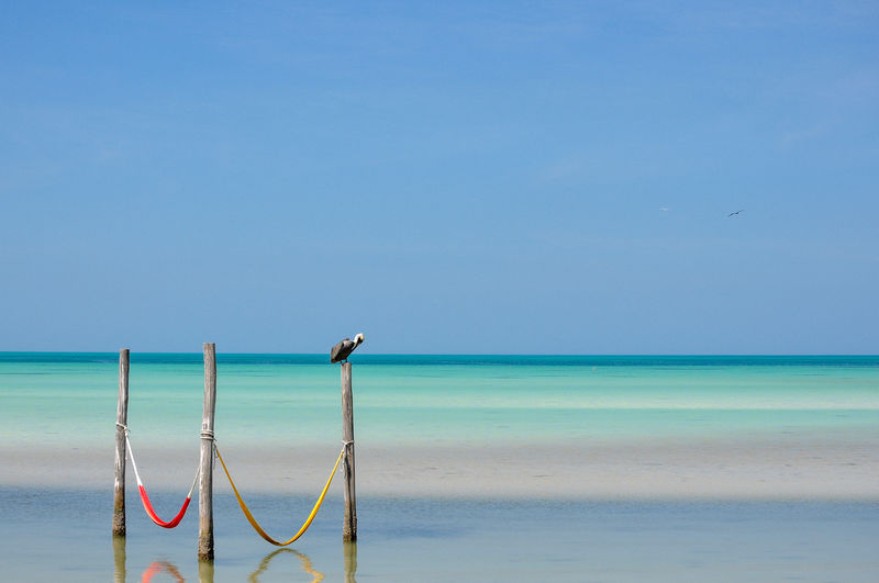 Bird perching on wooden post over sea against sky