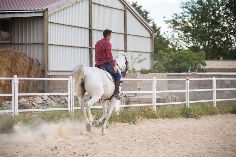 Man riding horse in stable