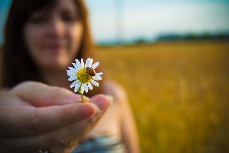 Woman holding white daisy with ladybug
