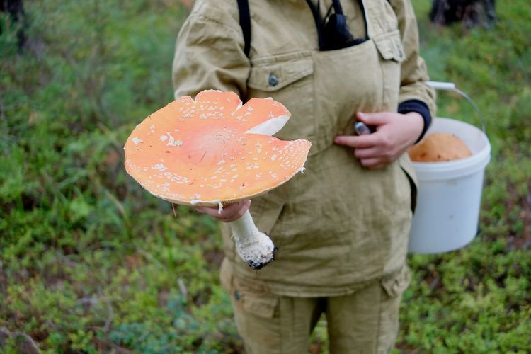 Man holding mushroom growing on field