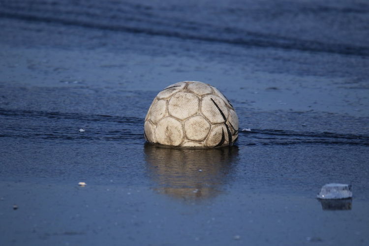 Close-up of a ball in the sea