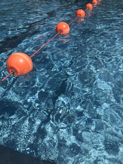High angle view of rope floating on swimming pool