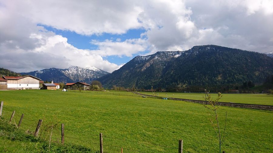 Scenic view of agricultural field against sky