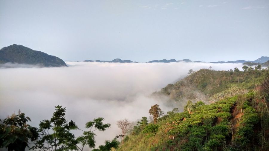Panoramic view of landscape against sky