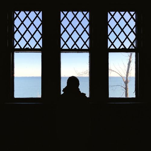 Rear view of silhouette woman looking through window in winter