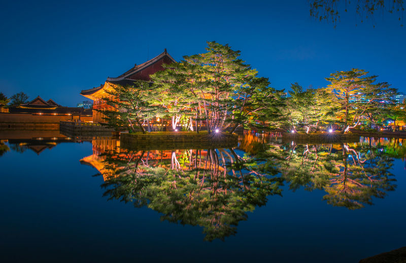 Reflection of illuminated trees in lake against clear blue sky at night