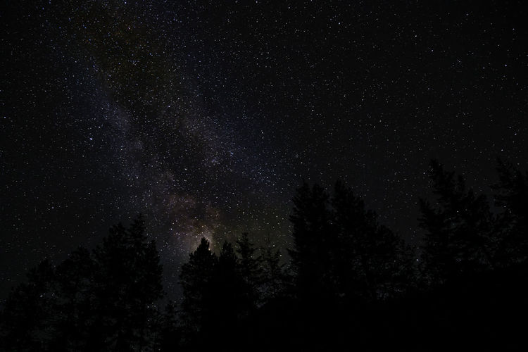 Astro photography with milky way above forest