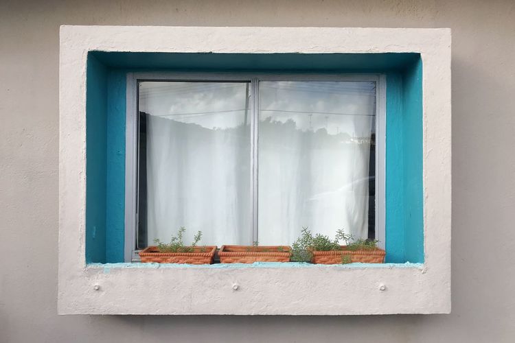 Potted plant on window sill of building