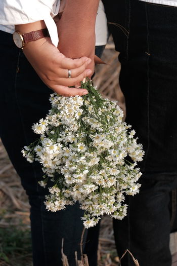 Midsection of people holding flowering plant