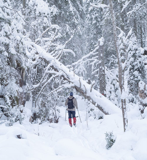 Man standing on snow covered land