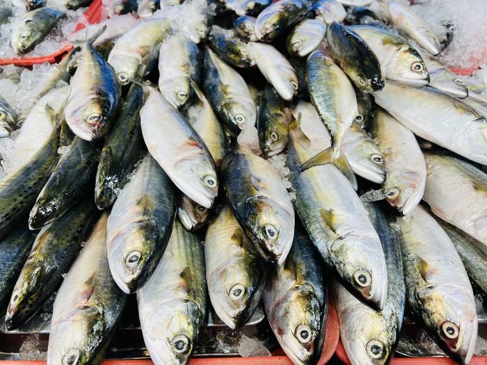 seafood