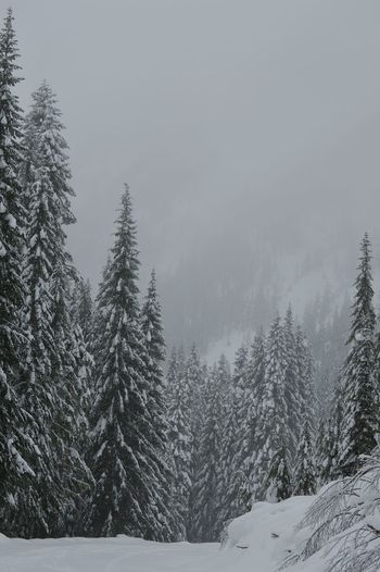 Snowy scenery in the mountains 