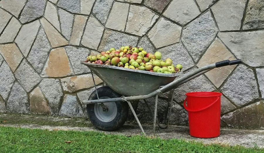 Close-up of apples in wheelbarrow