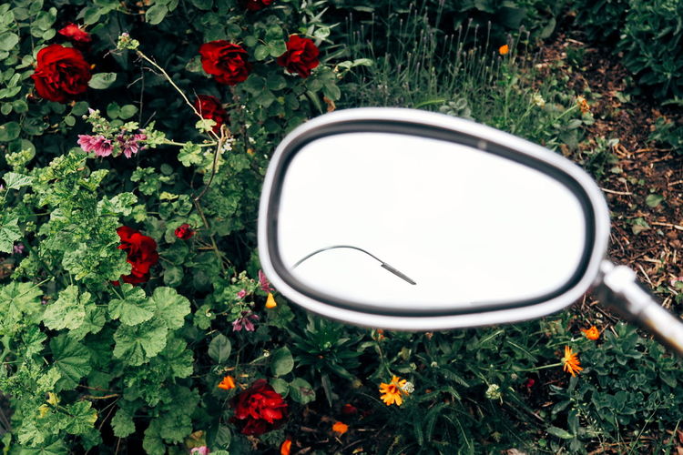 Close-up of side-view mirror against plants