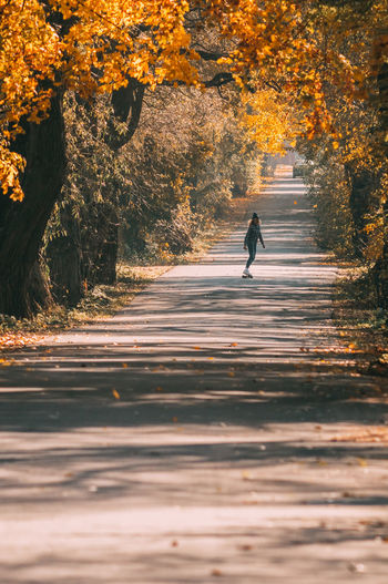 Man walking on road amidst trees during autumn
