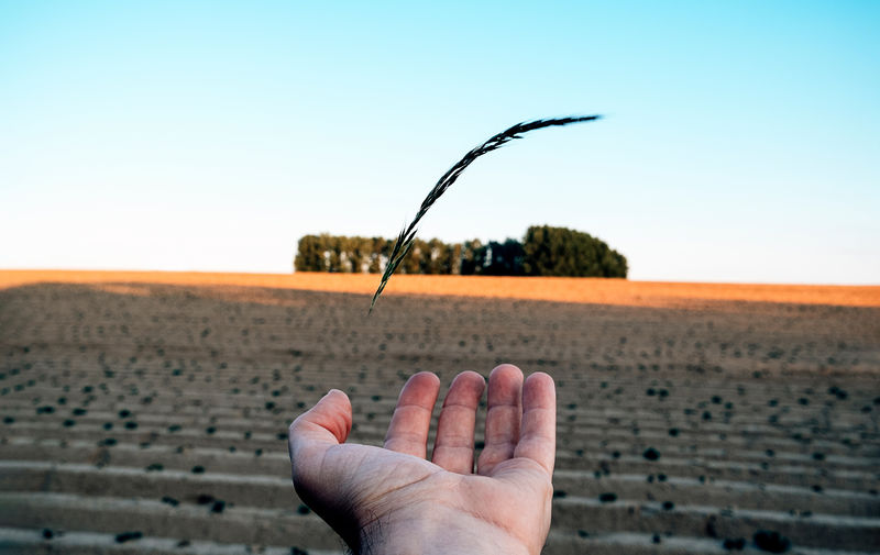 Close upon open hand standing on a cultivated field. green economy, sustainable agriculture. 