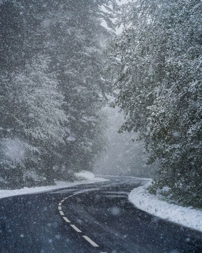 View of snow covered road