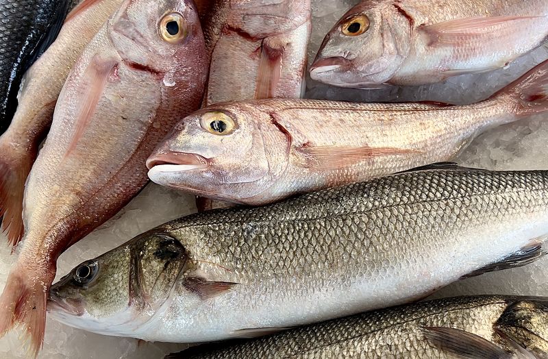 fish