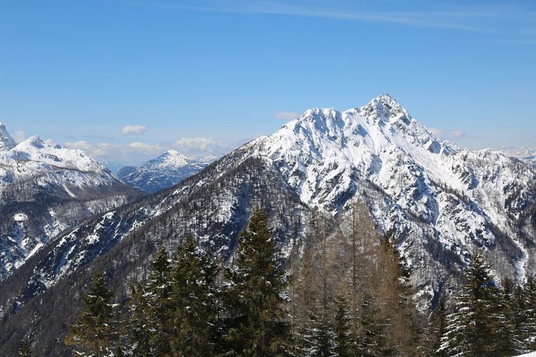 Pranoramic view from lussari mountain in italy in winter with snow