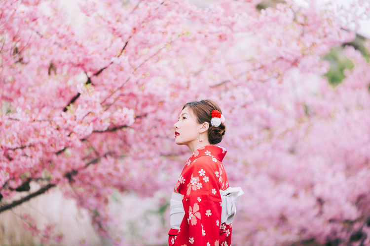 Close-up of woman with pink cherry blossom