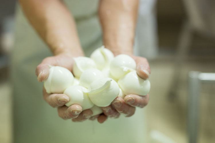 Close-up of woman holding mozzarella