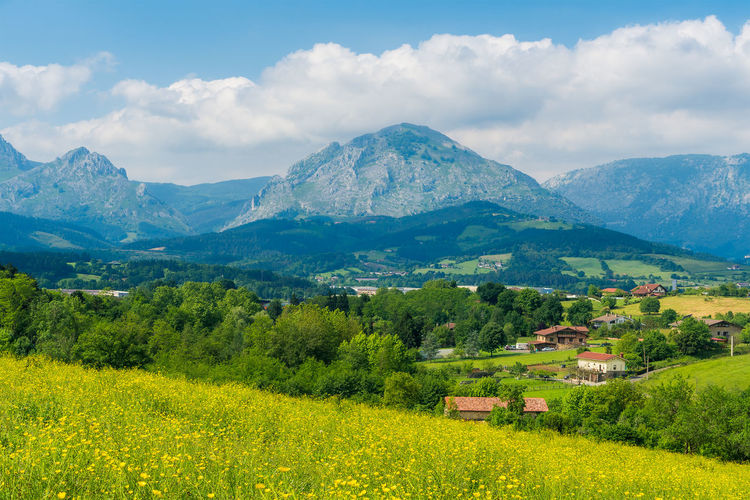 Scenic view of field and mountains against sky