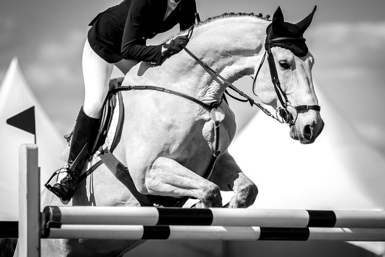 Equestrian, horse jumping competition, show jumping themed photograph.