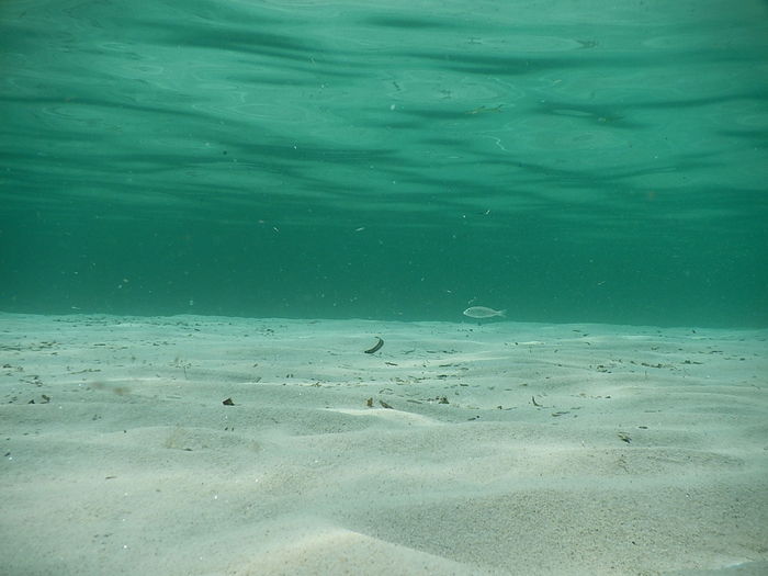 View of sea