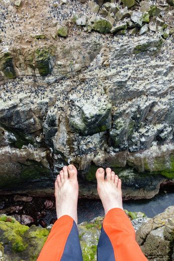 Low section of man on cliff against birds on rock formation