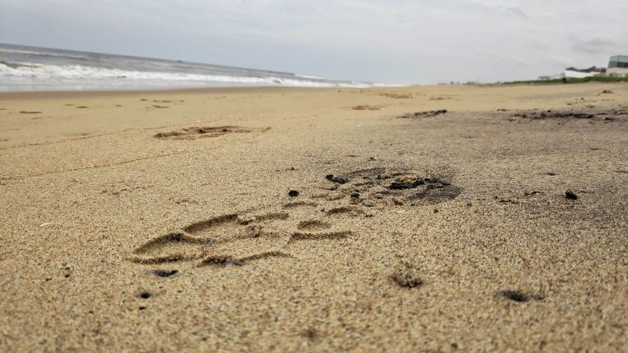 Close-up of footprints on sand at beach against sky