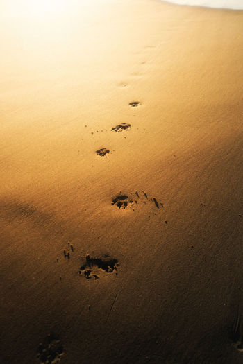 High angle view of footprints on sand at beach