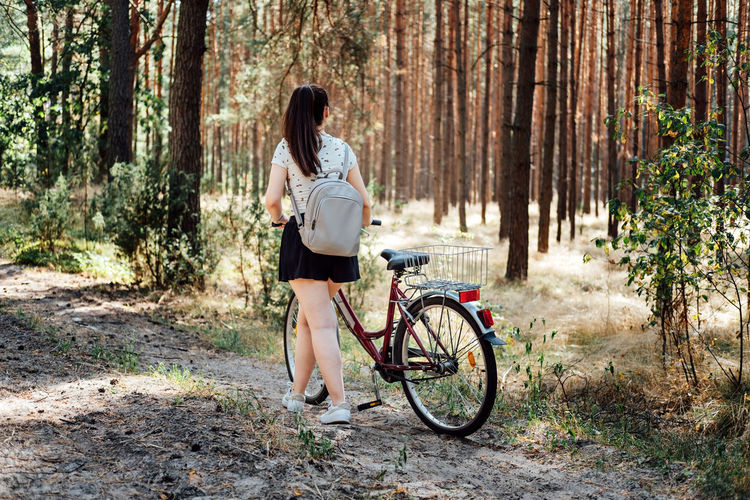 Bicycle tourism. road biking trails. bicycles for rent. single woman riding bike in pine forest in