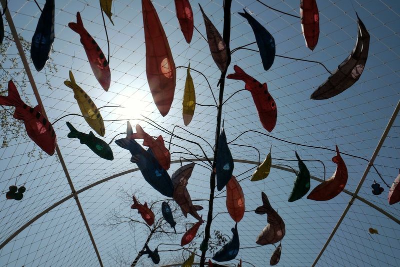 Low angle view of carp streamers over net
