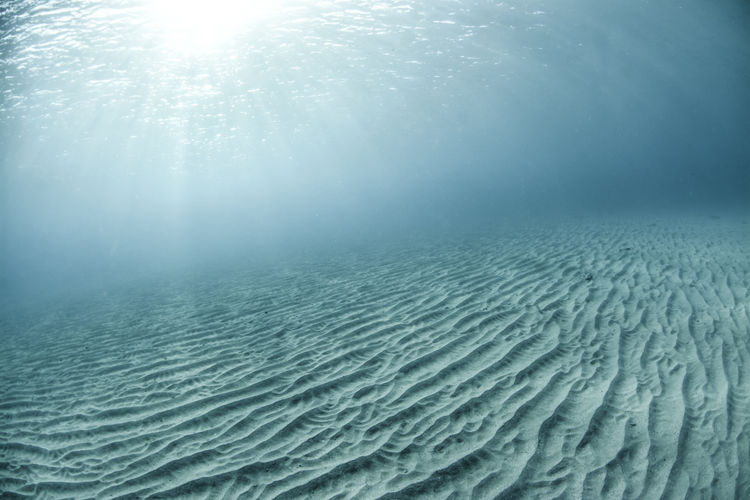 Aerial view of sea