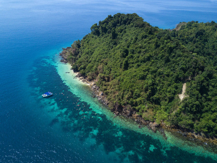 High angle view of sea amidst trees