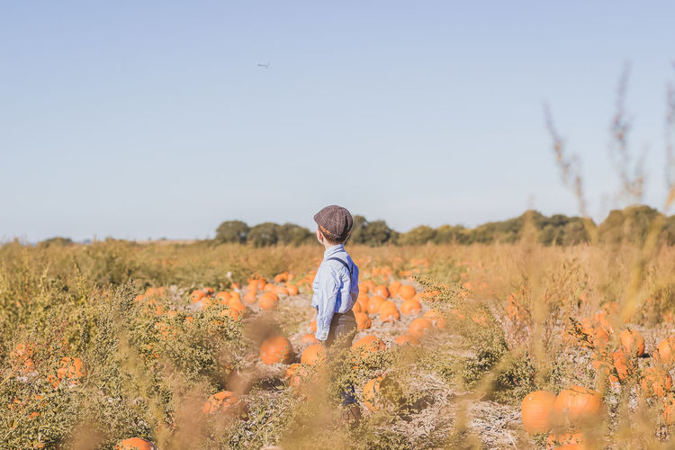 Rear view of boy on pumpkin field against sky