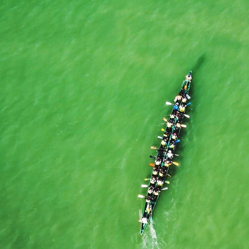 Directly above view of people sculling boat in river