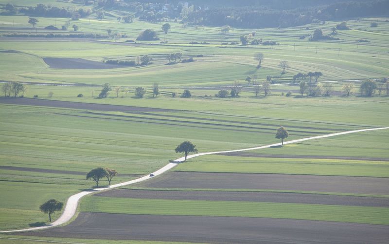 View of an animal on landscape