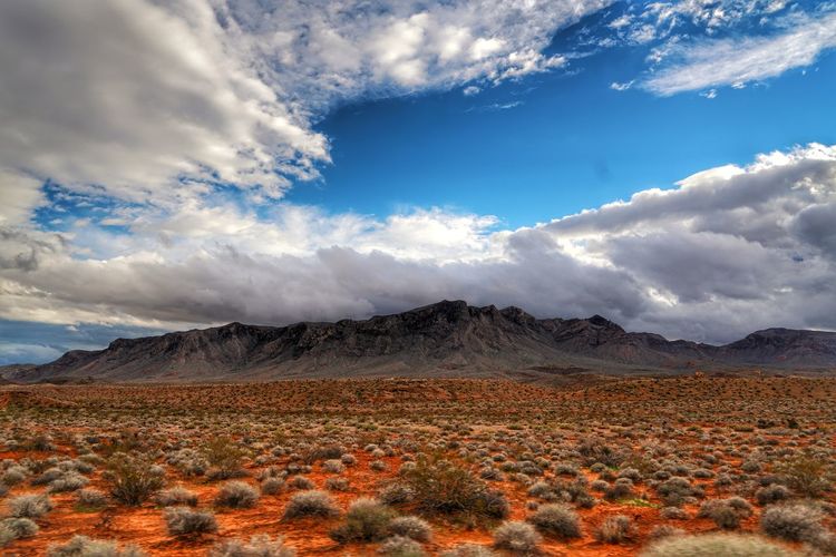 Scenic view of arid landscape against sky