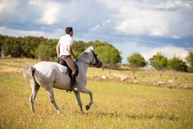 Man riding horse on field