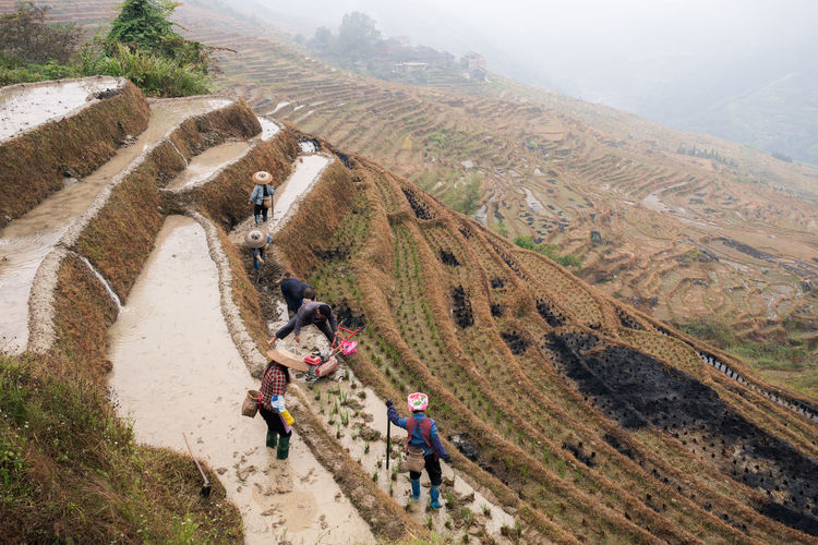 High angle view of people walking on landscape