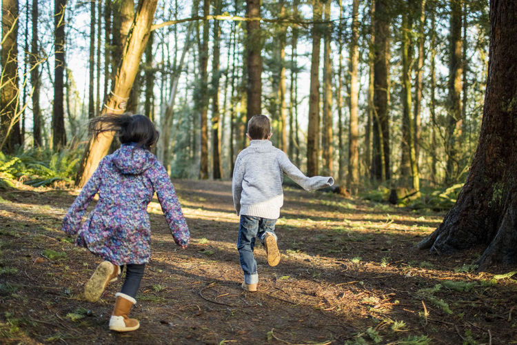 Rear view of boy and girl running through the forest.