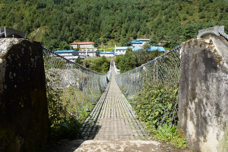 Footbridge amidst trees in forest