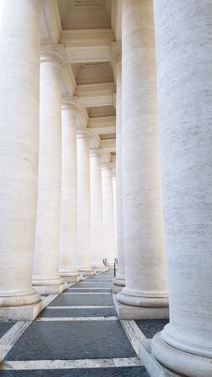Architectural columns in building