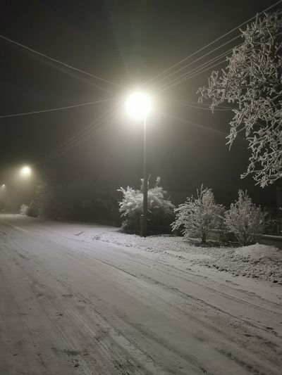 Snow covered street amidst trees against sky at night