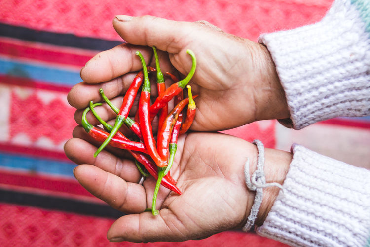 Cropped hands holding red chili peppers