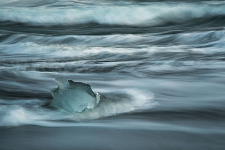 wind wave