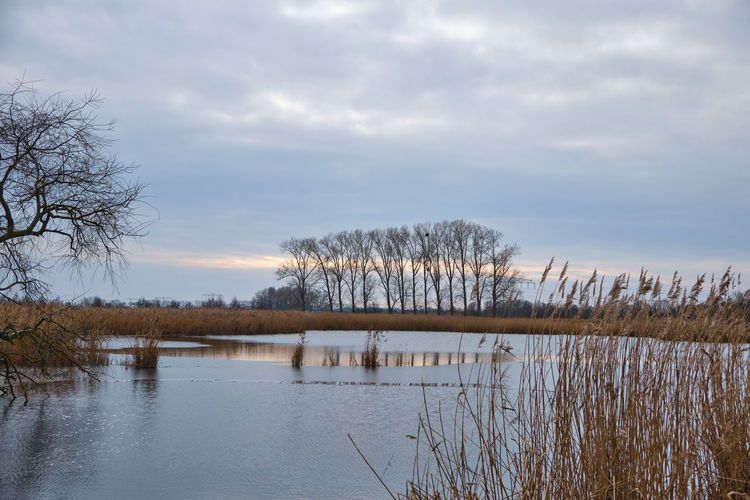 Scenic view of lake against sky