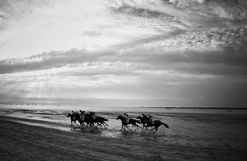 Horse racing on beach by sea against cloudy sky