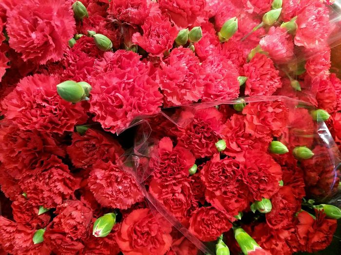 Full frame shot of red carnation flowers for sale